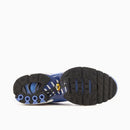 Air Max Plus Tn 1 “Royal Pulse”