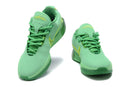 Nike LeBron 21 "Green"